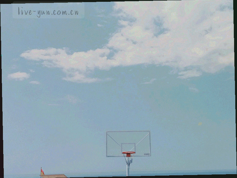篮球馆顶灯与地板反光形成的高对比暗色画面